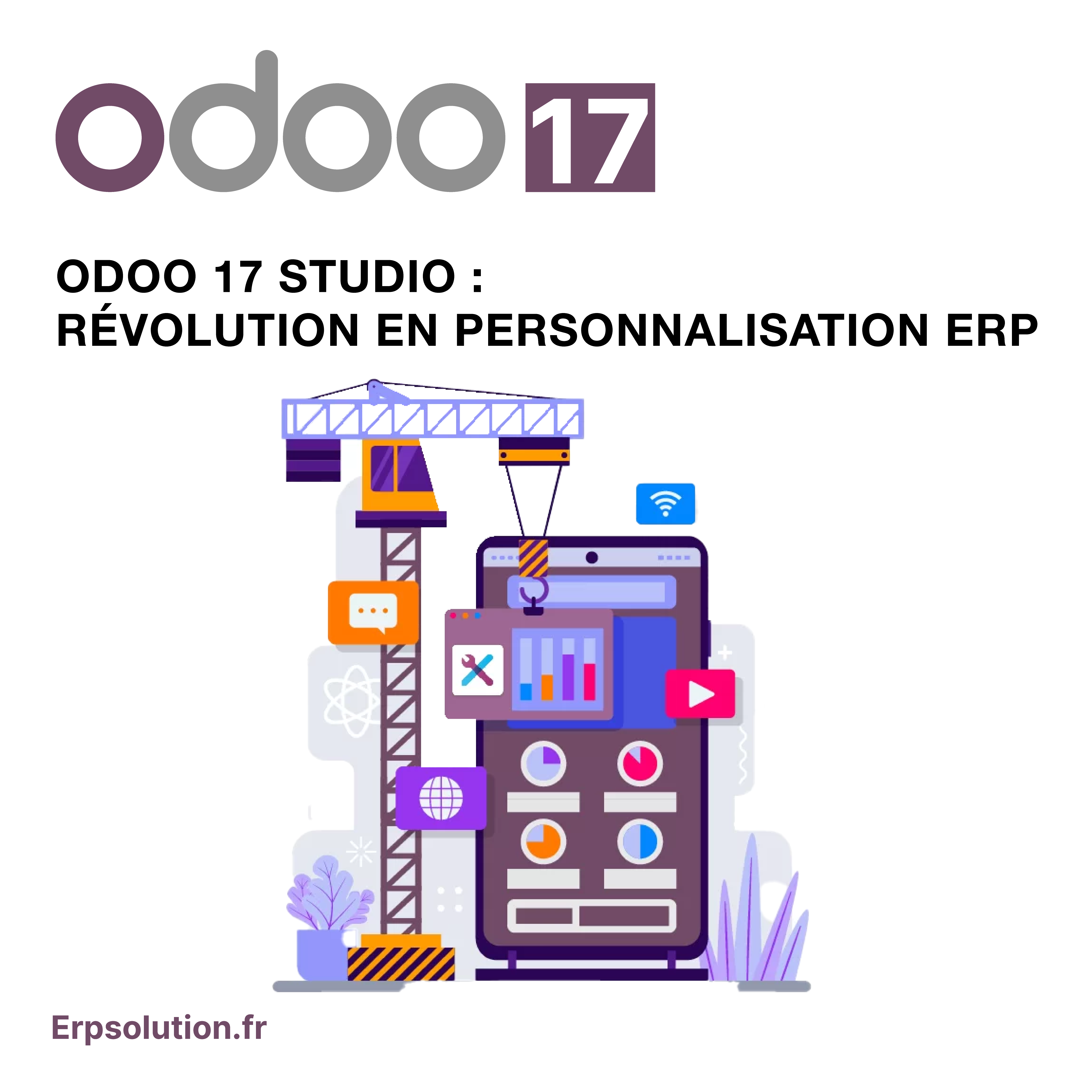 ERP ODOO17 Studio