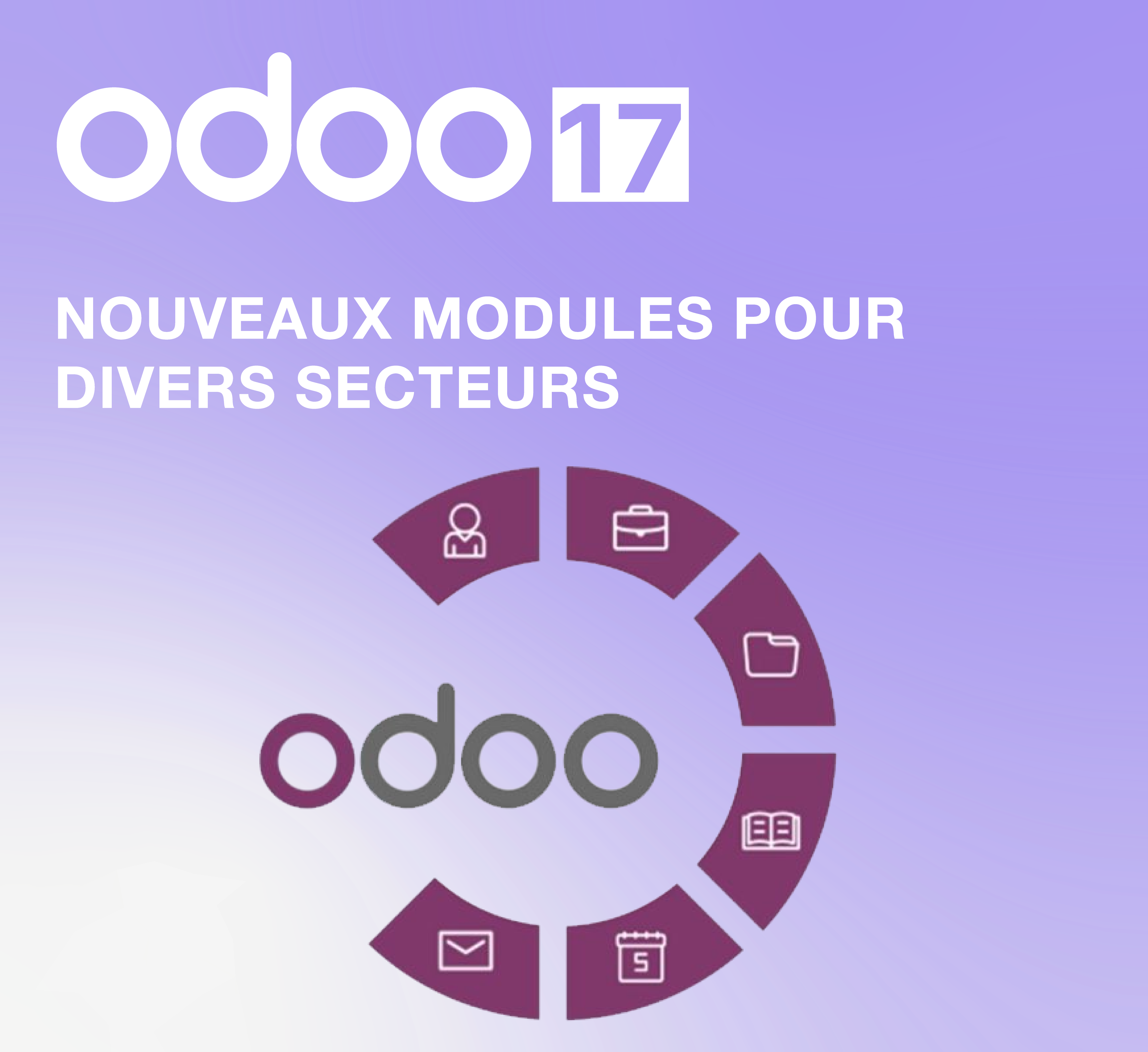 ERP ODOO17 Secteurs industrie