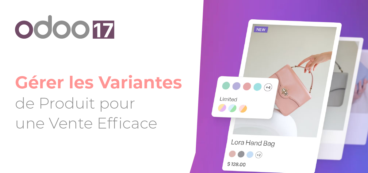 ERP Odoo 17 GÉRER LES VARIANTES